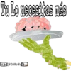 Respuestas 2 19