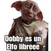 Harryp 23