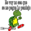 Respuestas 2 21