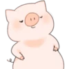 Cerdito Bonito 2 20
