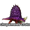 chupameles croto