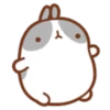 Molang 2 20