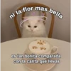 ni la flor mas bella
es tan bonita comparada
con la carita que llevas