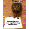 Animales 19
