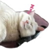 Smudge Lord (Gato Meme) 15