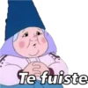David el Gnomo 22