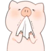 Cerdito Bonito 2 23