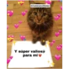 Animales 20