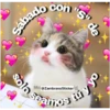 Animales 21