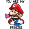 Mario Bros 20