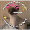 Animales 23