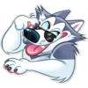 Hussie GoodBoy 23