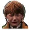 Harry Potter 5