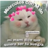 Animales 24