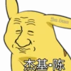 Pikachu caras 22