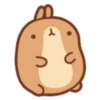 Molang 2 21