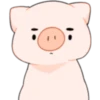 Cerdito Bonito 2 25