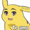 Pikachu caras 25