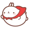 Molang 2 24
