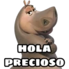 HOLA
PRECIOSO