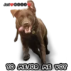Javi DODO
YO MEJOR ME VOY