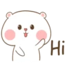 Hi
