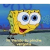 Yo viendo tu pinche
vergota
ar
v