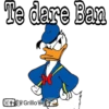 Respuestas 2 28