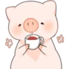 Cerdito Bonito 2 29