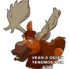 Tierra de Osos • Twitter e Ig: 18