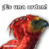 ¡Es una orden!
@ADOLFOOJOSE