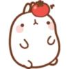 Molang 2 29