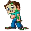 Minecraft 28