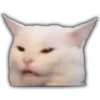 Smudge Lord (Gato Meme) 17