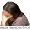 PINCHE PENDEJO ESTÚPIDO