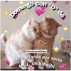 Animales 27