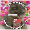 Animales 28
