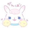 3n