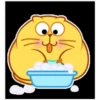 yellow cat 6