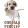 CHOCALA
PENDEJO
MIKE