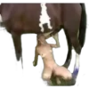 De todo 4 6