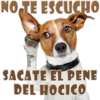 NO TE ESCUCUO
SACATE EL PENE
DEL HOCICO
MIKE