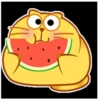 yellow cat 7
