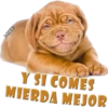 Y SI COMES
MIERDA MEJOR
MIKE