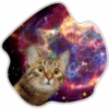 Gatos do espaço 5