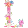 Letters with flowers 6