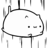 Fluffy pretty cat 5