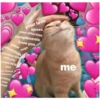 w.holesomegt
your love
kisses
your affection
compliments
from you
your
attention
hugs
spending time
with you
respecting
me
you
pur sharod
nterests
holding
your
hand
cuddling