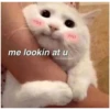 me lookin at u
sugaryepla