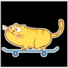 yellow cat 12